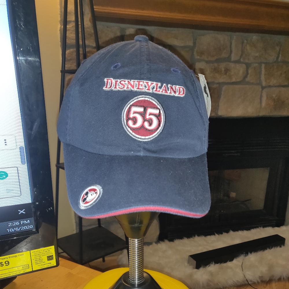 Walt Disney hat